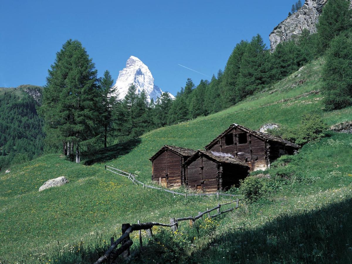 Apartment Zen Stecken A By Interhome Zermatt Zewnętrze zdjęcie